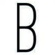 Bashaques